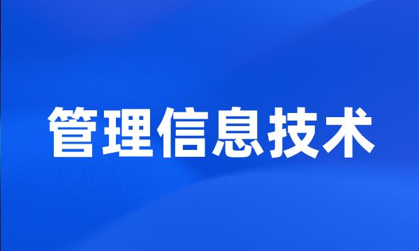 管理信息技术