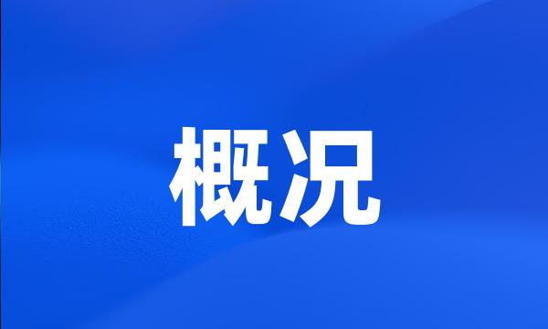 概况