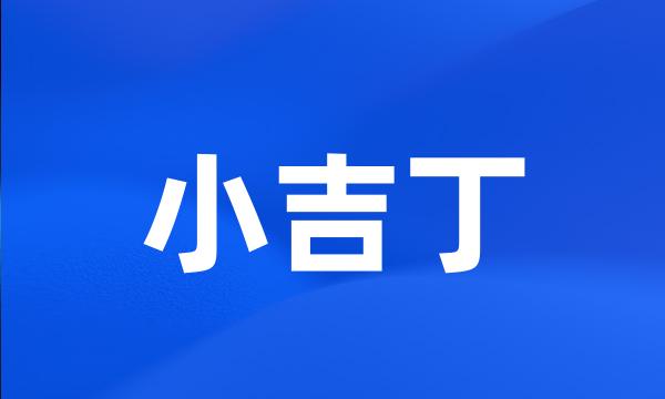 小吉丁