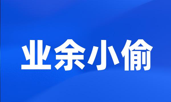 业余小偷