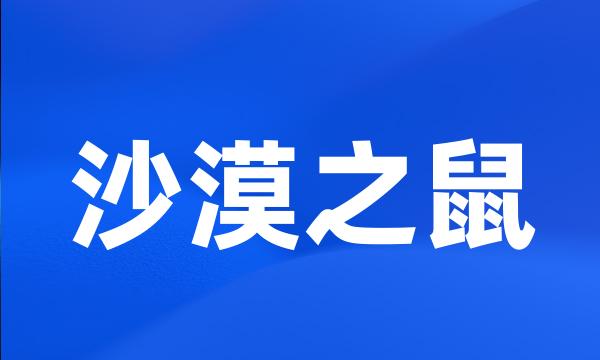 沙漠之鼠