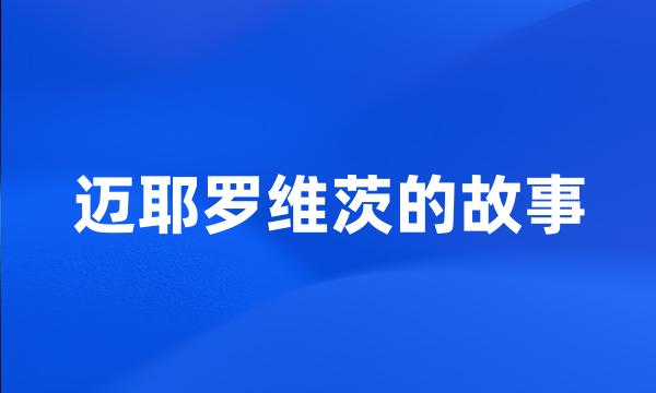 迈耶罗维茨的故事