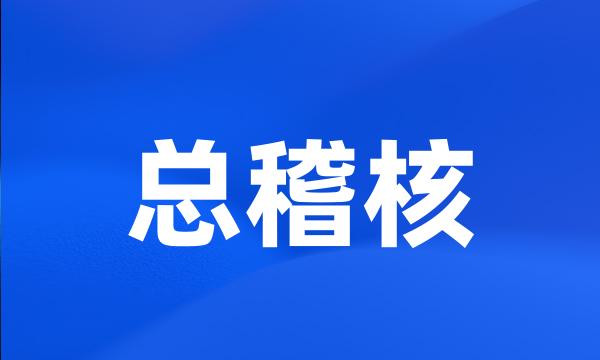 总稽核