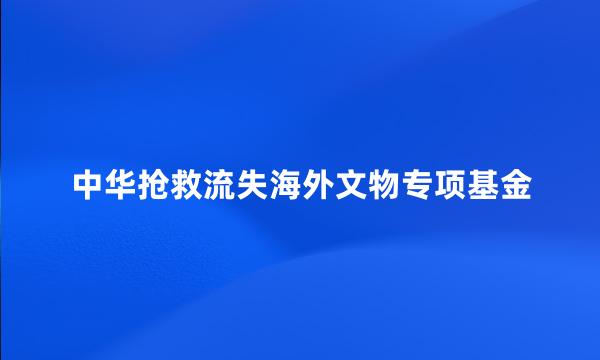 中华抢救流失海外文物专项基金