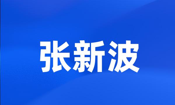 张新波