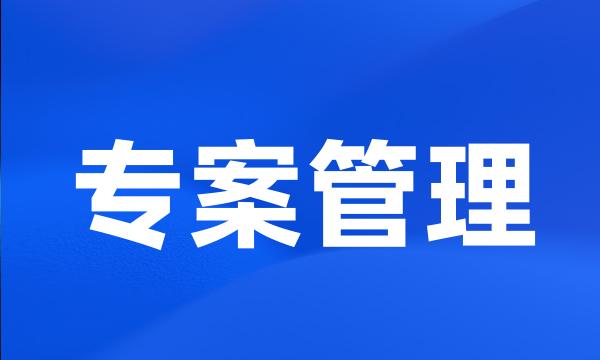 专案管理