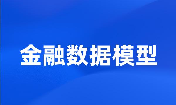 金融数据模型