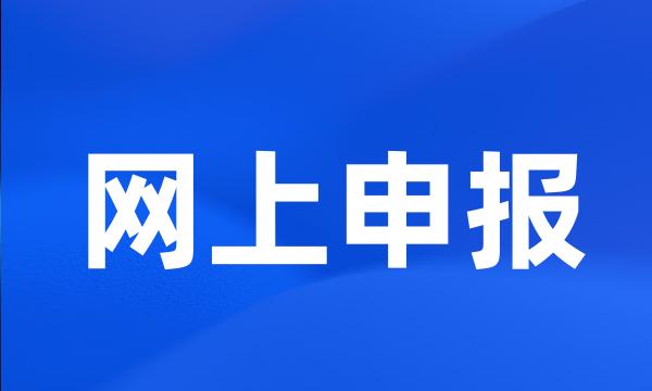 网上申报