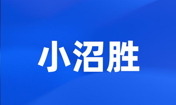 小沼胜