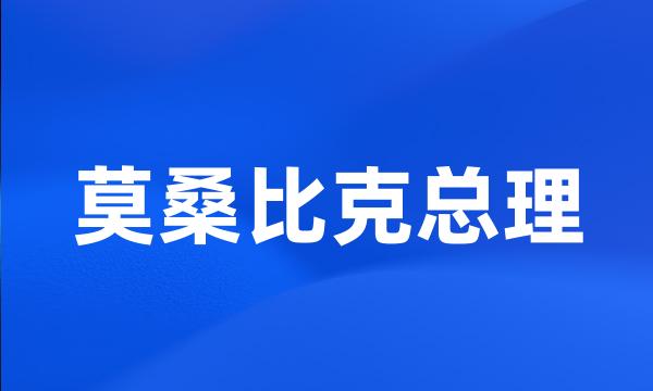 莫桑比克总理