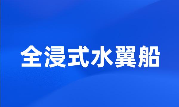 全浸式水翼船