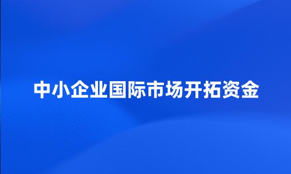 中小企业国际市场开拓资金