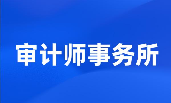 审计师事务所