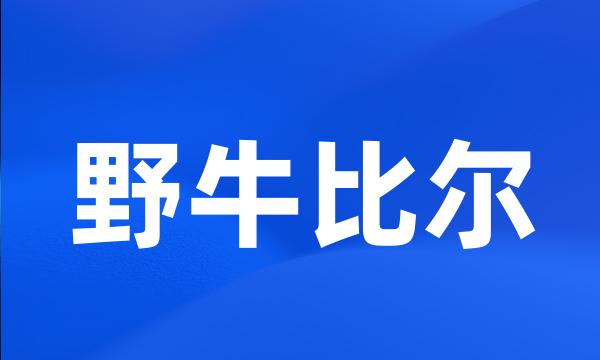 野牛比尔