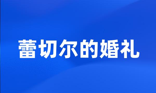 蕾切尔的婚礼