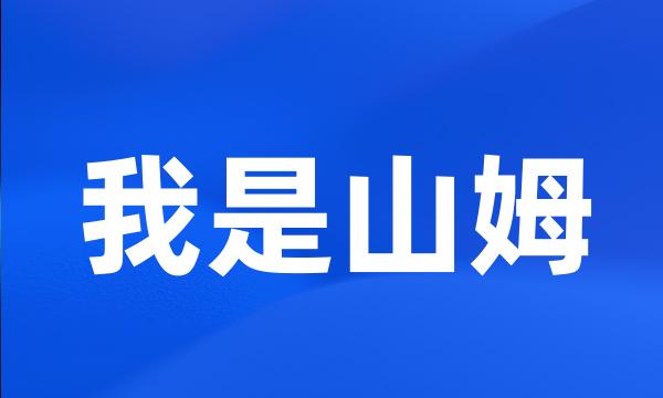 我是山姆