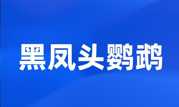 黑凤头鹦鹉