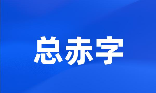 总赤字