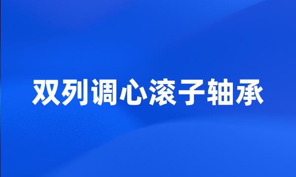 双列调心滚子轴承