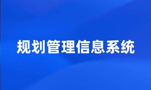 规划管理信息系统