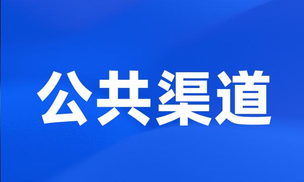 公共渠道