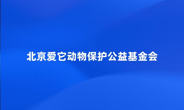 北京爱它动物保护公益基金会