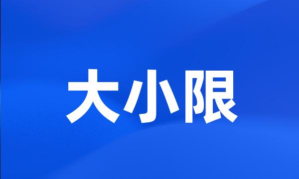 大小限