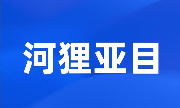 河狸亚目