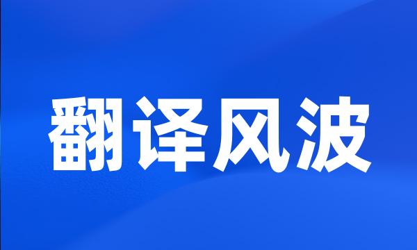 翻译风波