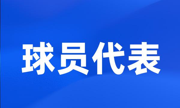 球员代表