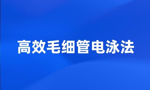 高效毛细管电泳法