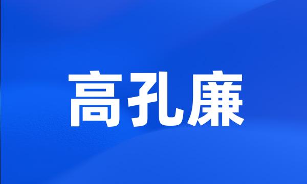 高孔廉