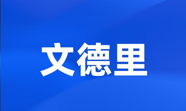 文德里