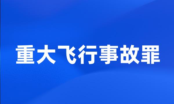 重大飞行事故罪