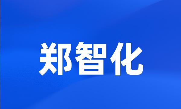 郑智化