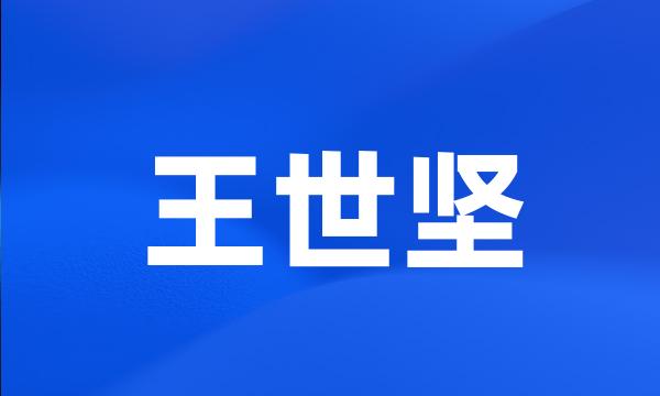 王世坚