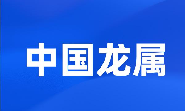 中国龙属