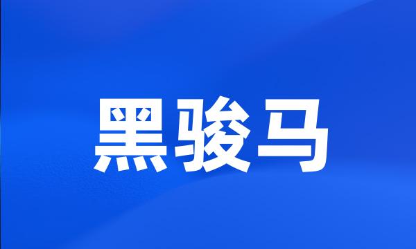 黑骏马