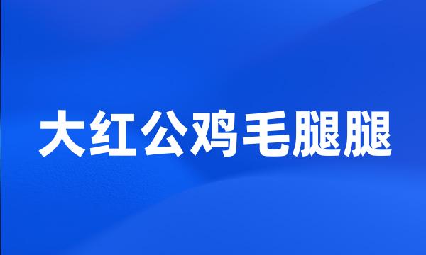 大红公鸡毛腿腿