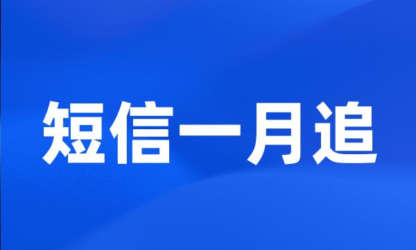 短信一月追