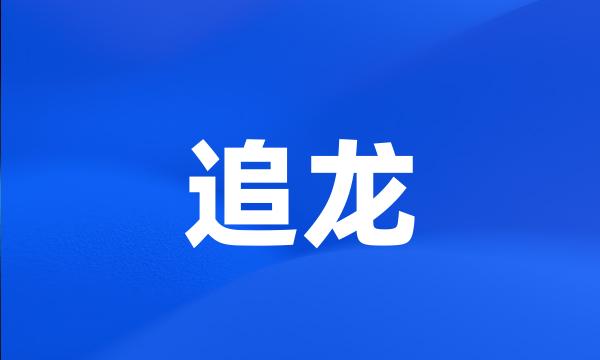 追龙