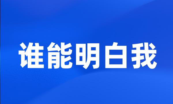 谁能明白我