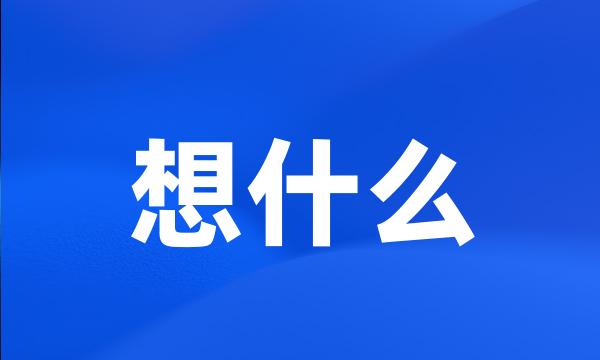 想什么