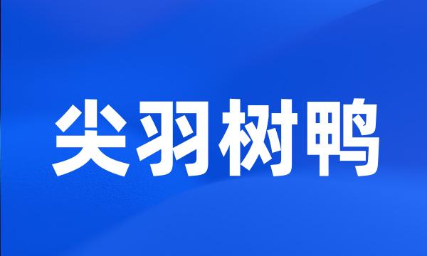 尖羽树鸭