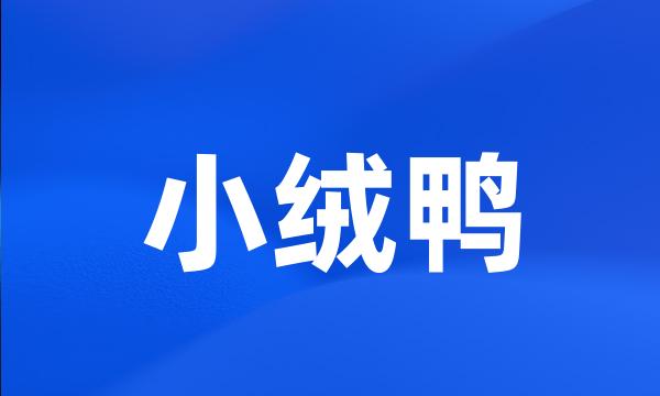 小绒鸭