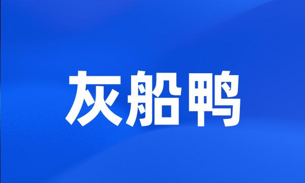 灰船鸭