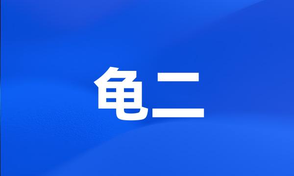 龟二