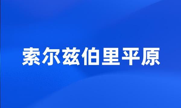 索尔兹伯里平原