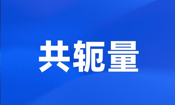 共轭量