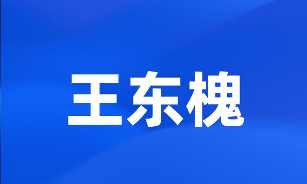 王东槐